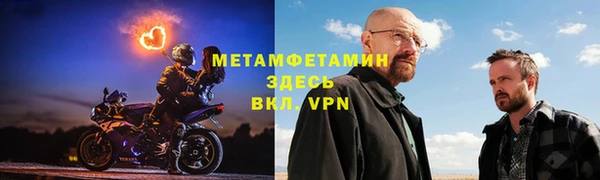прущие грибы Беломорск