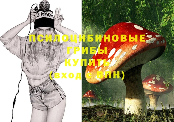 прущие грибы Беломорск