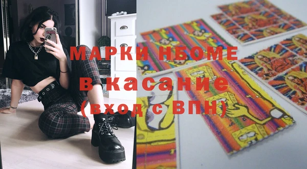 прущие грибы Беломорск